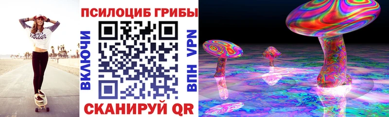 Псилоцибиновые грибы MAGIC MUSHROOMS  продажа наркотиков  Темников 